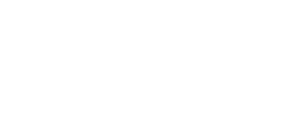 ZGPT